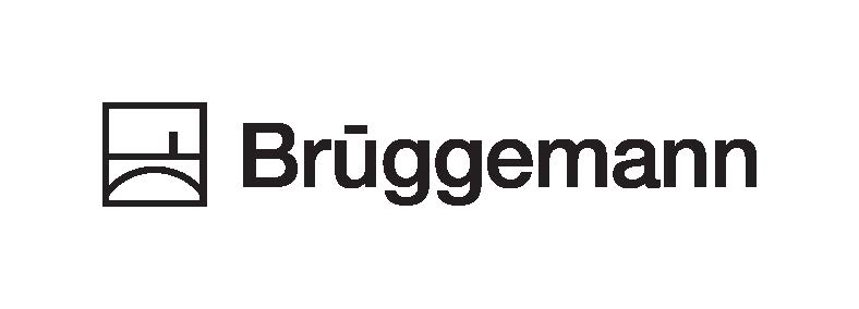 Brueggemann Chemical Asia Ltd._logo