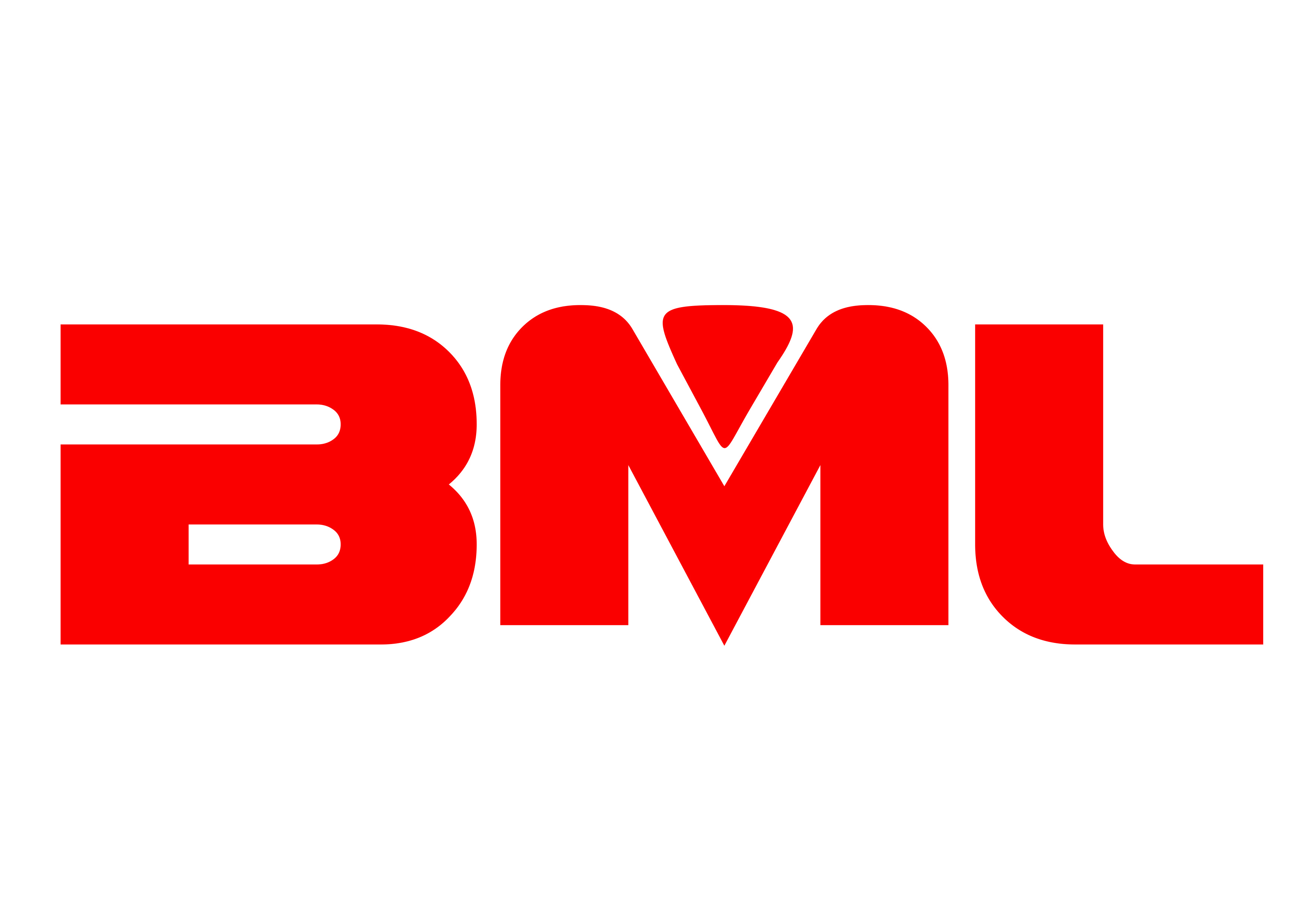 Bumian Fluid Machinery Co., Limited_logo
