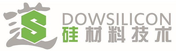 Dowsilicon Technology (Shanghai) Co., Ltd._logo