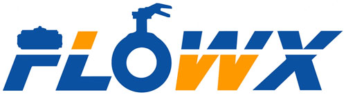 Flowx Valve (Shanghai) Co., Ltd._logo