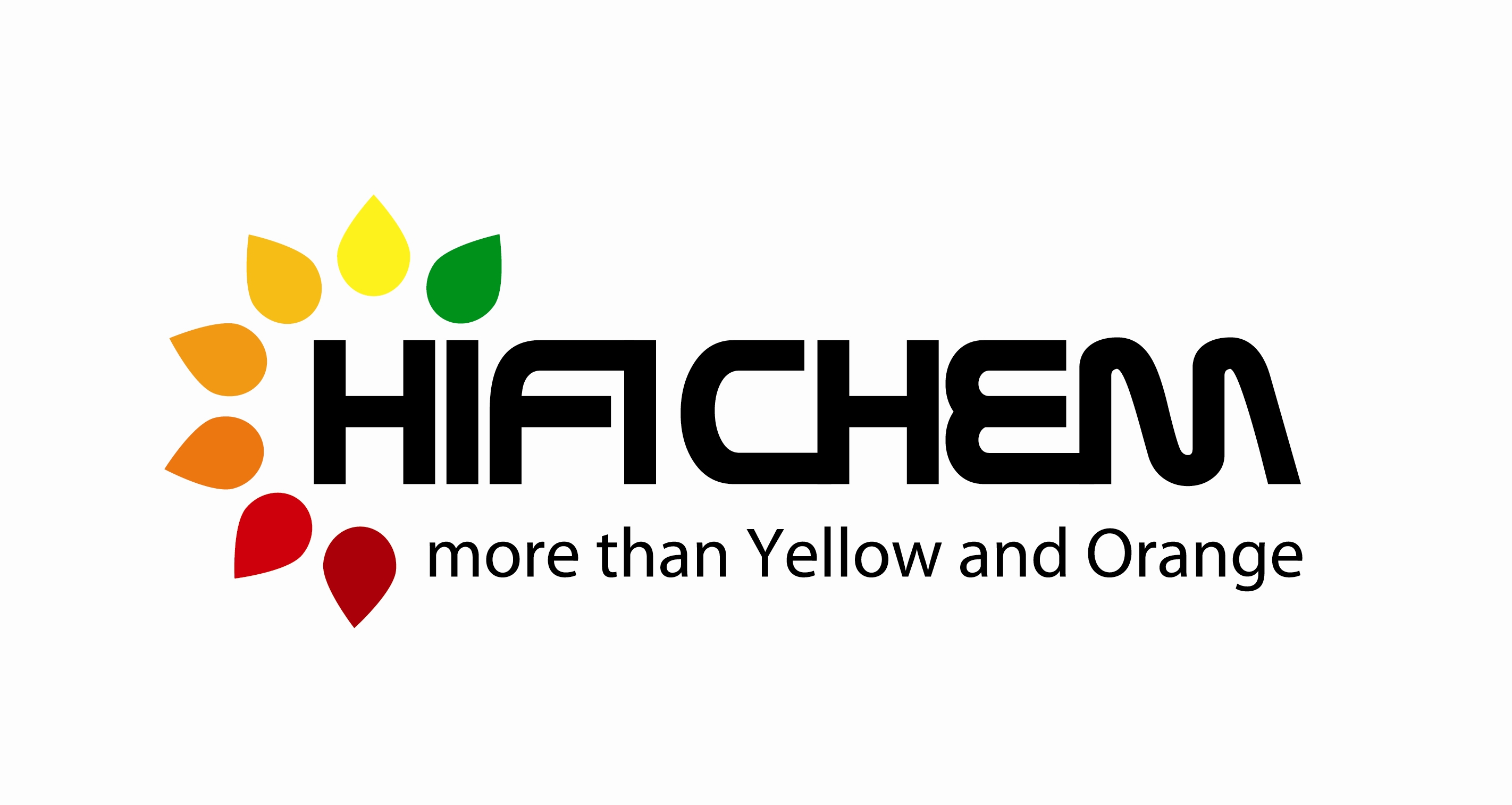 Anshan Hifichem Co., Ltd._logo