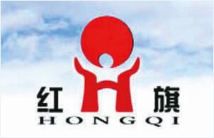 Chongqing Hongqi Chemical Machinery Co., Ltd._logo