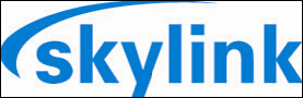 Skylink Fluid Process Technology (Shanghai) Co., Ltd._logo