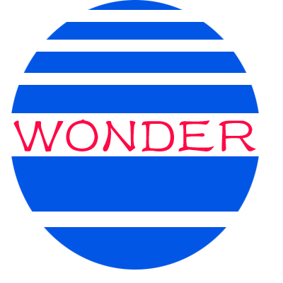 Wonder Technology (Wuxi) Co., Ltd._logo