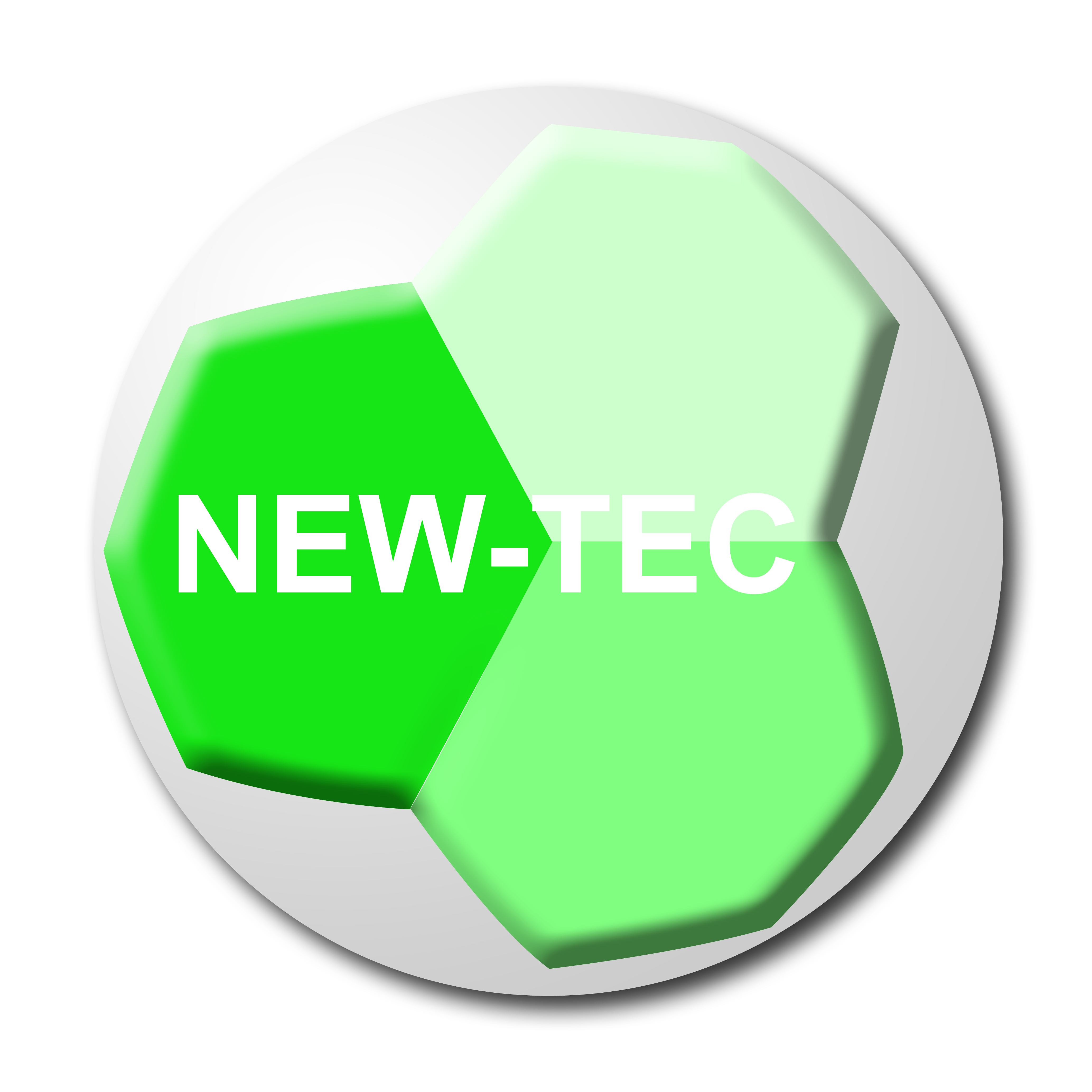 NewTechem Co., Ltd._logo