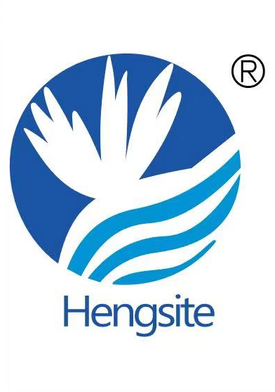 Suzhou Hengsite Industrial Co., Ltd._logo