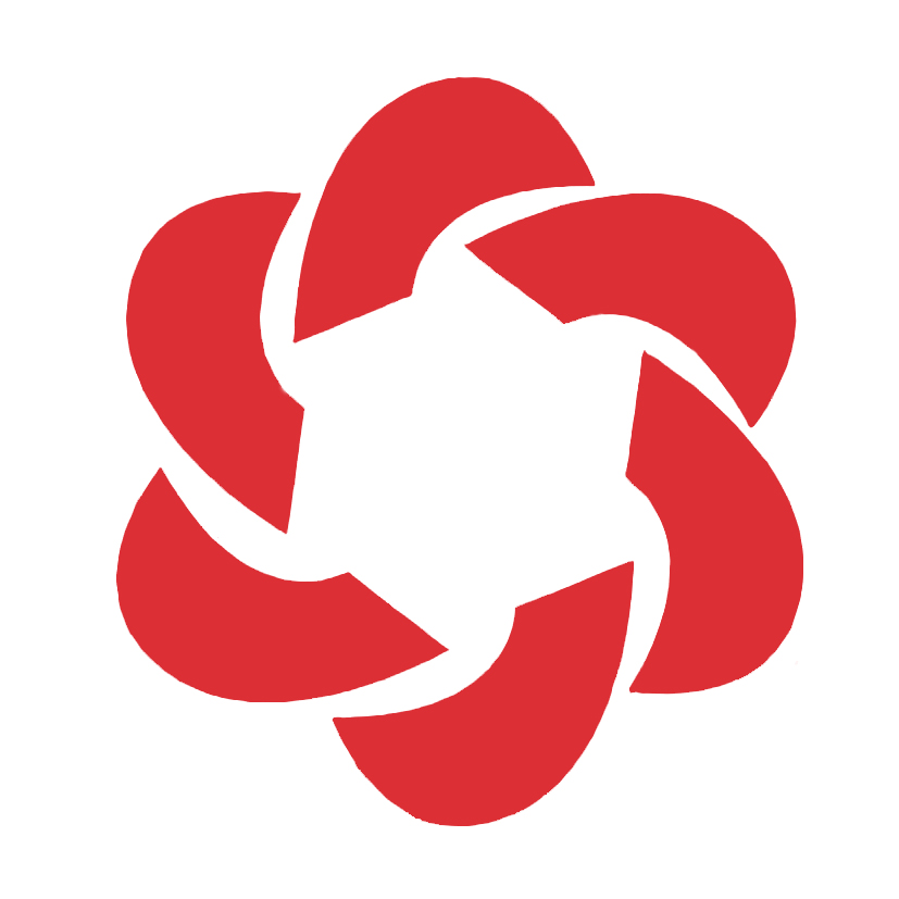 Fujian Disheng Technology Co., Ltd._logo