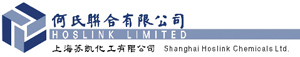 Hoslink Ltd._logo