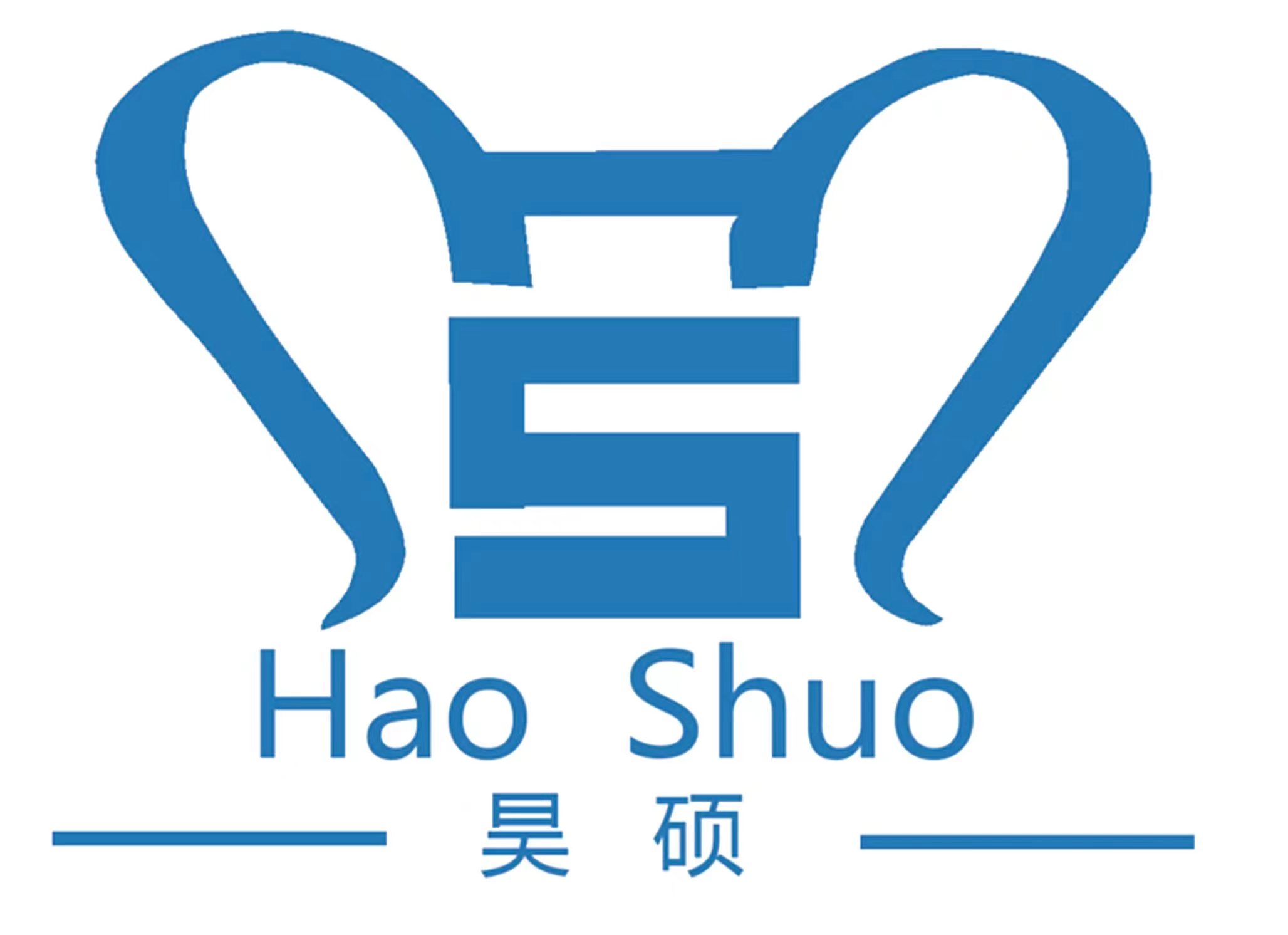 Hebei Haoshuo Chemical Co., Ltd._logo
