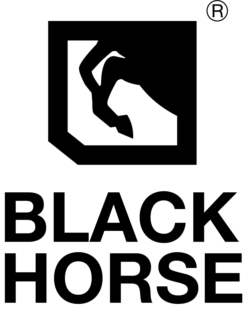 Hangzhou Black Horse New Materials Co., Ltd._logo