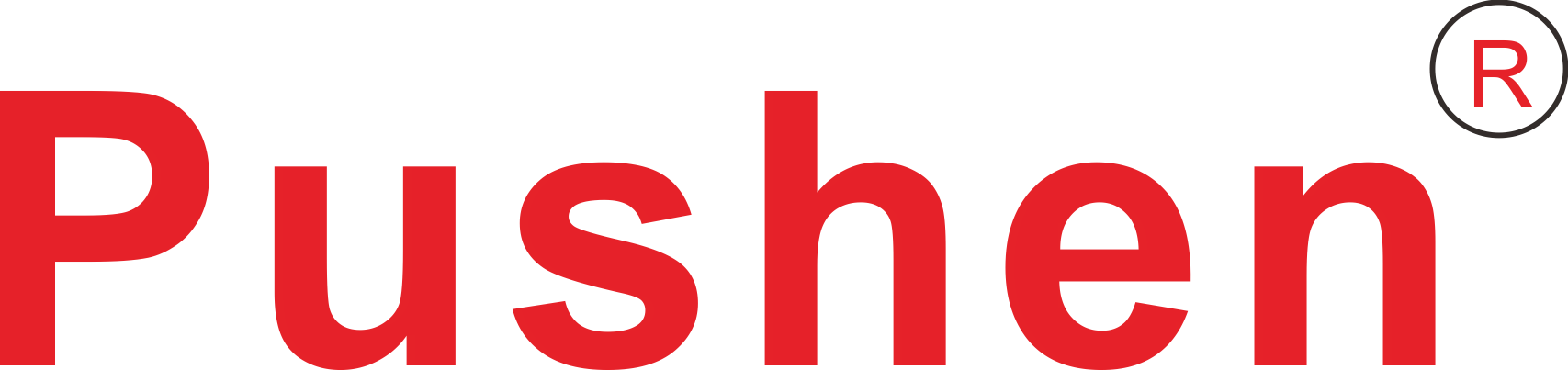 Pushen Testing Instruments (Shanghai) Co., Ltd. _logo