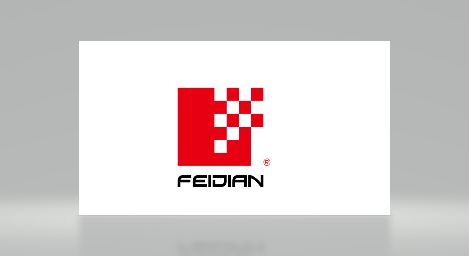 Anhui Feidian Advaced Materals Co., Ltd_logo