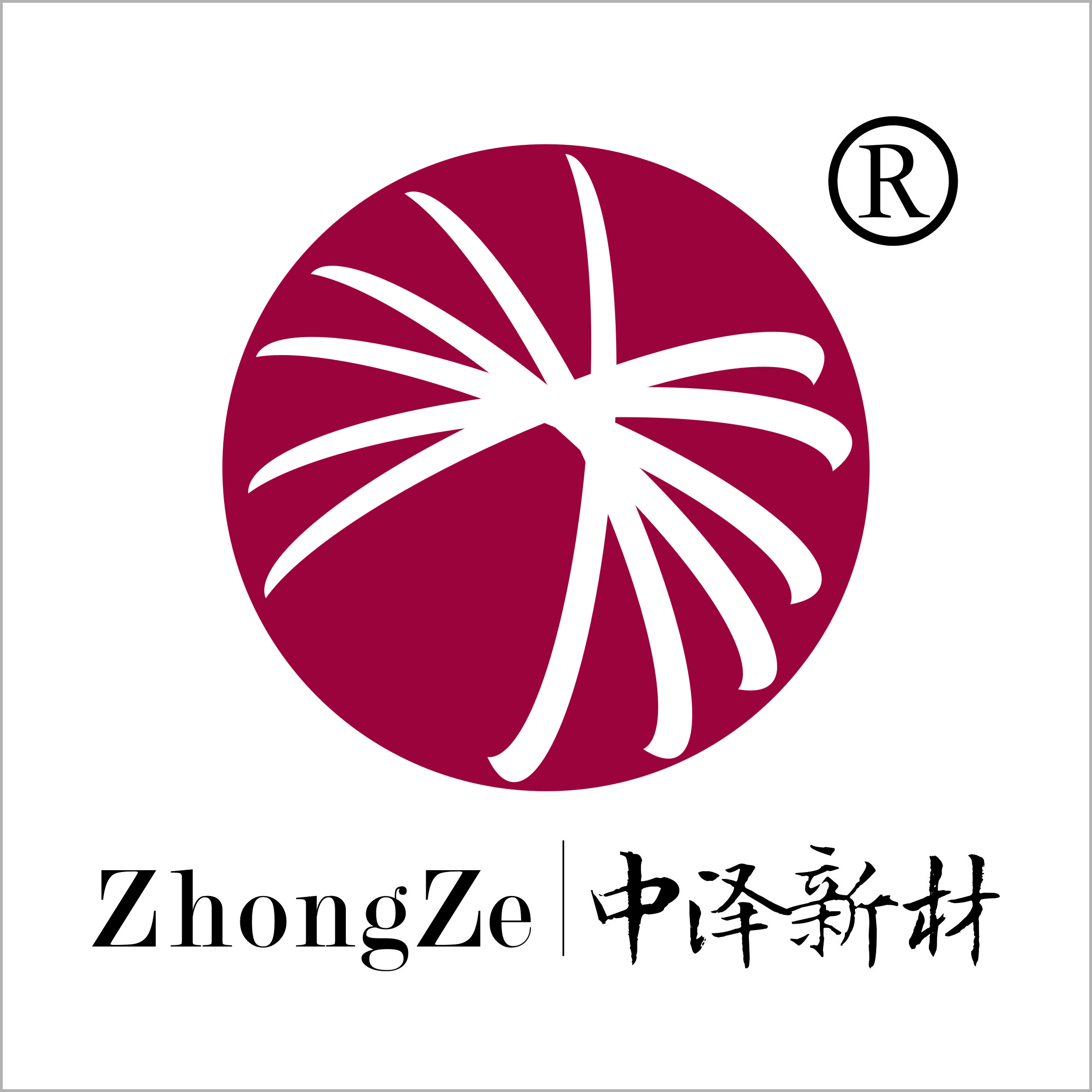 黄山中泽新材料有限公司_logo