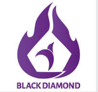 Black Diamond Material Scientech Pte Ltd._logo