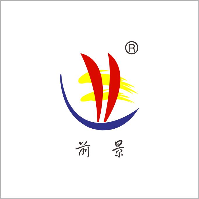 ǰƼ޹˾_logo