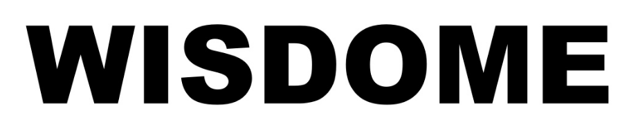 Jiangyin Wisdome Technology Co., Ltd._logo