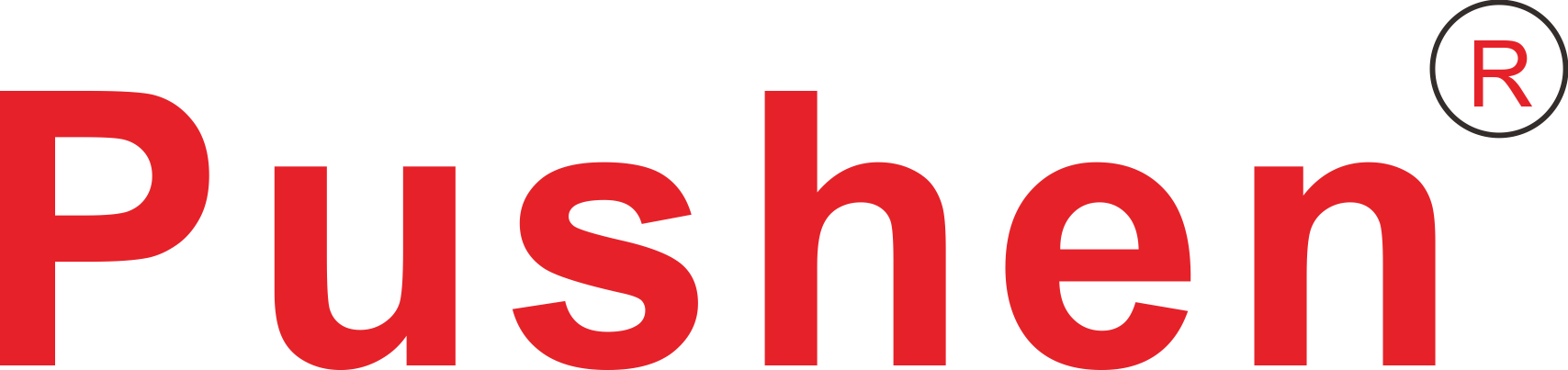 Pushen Testing Instruments (Shanghai) Co., Ltd._logo