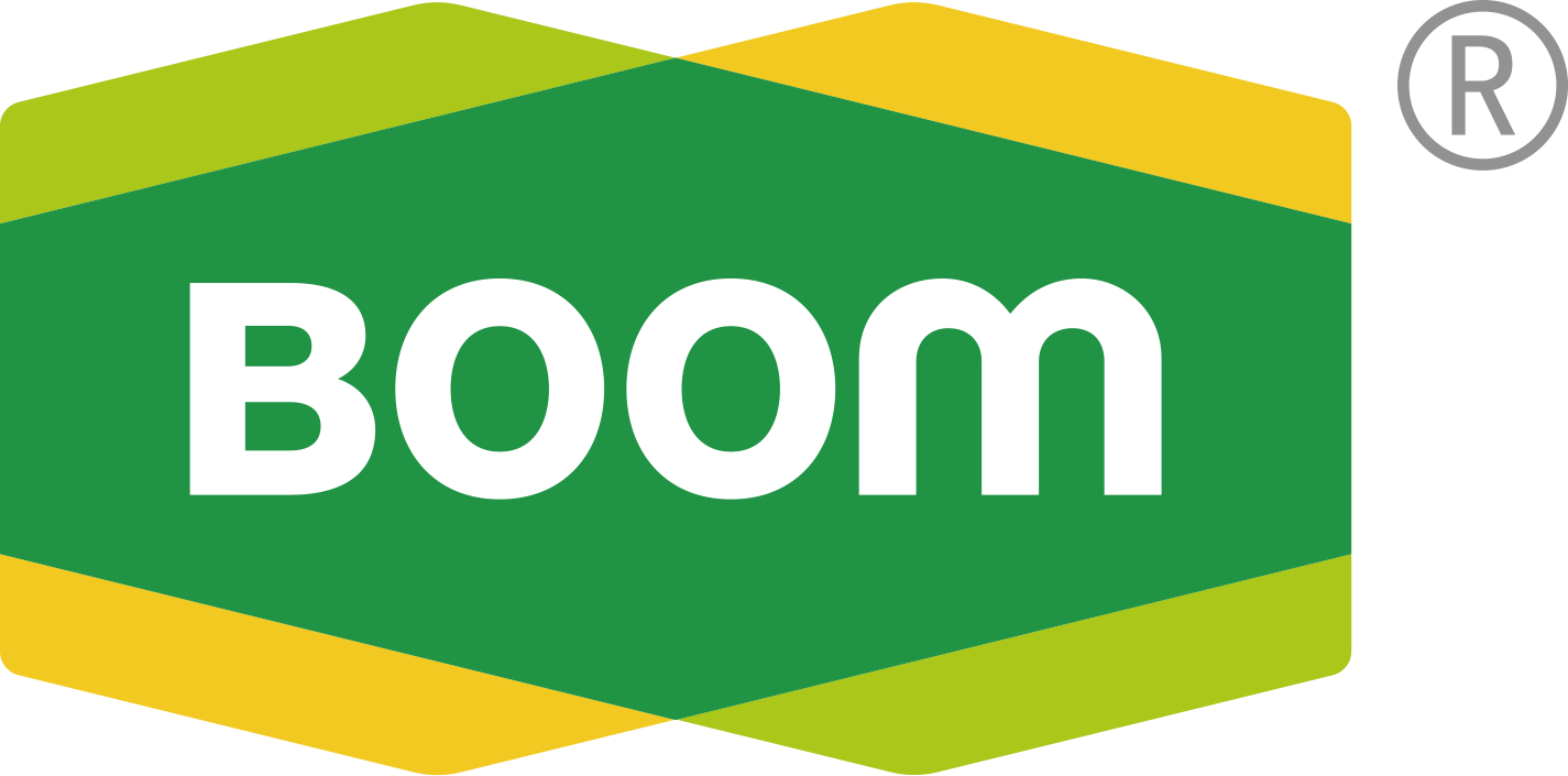 Boom Industry (Shanghai) Co., Ltd._logo