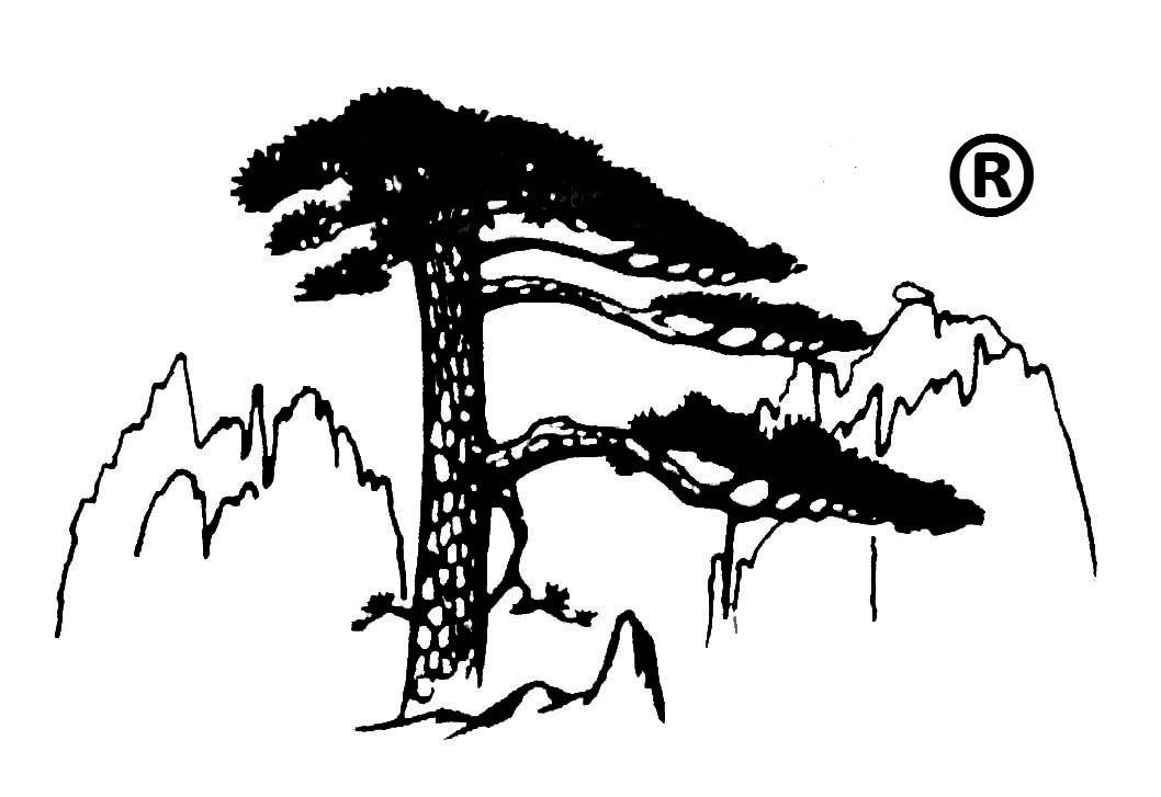 Huangshan Jiajia Fluorescent Material Co., Ltd._logo