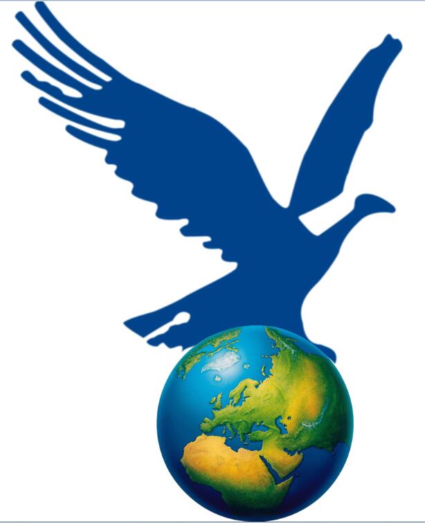 Guangzhou Megason Chemicals Co., Ltd._logo