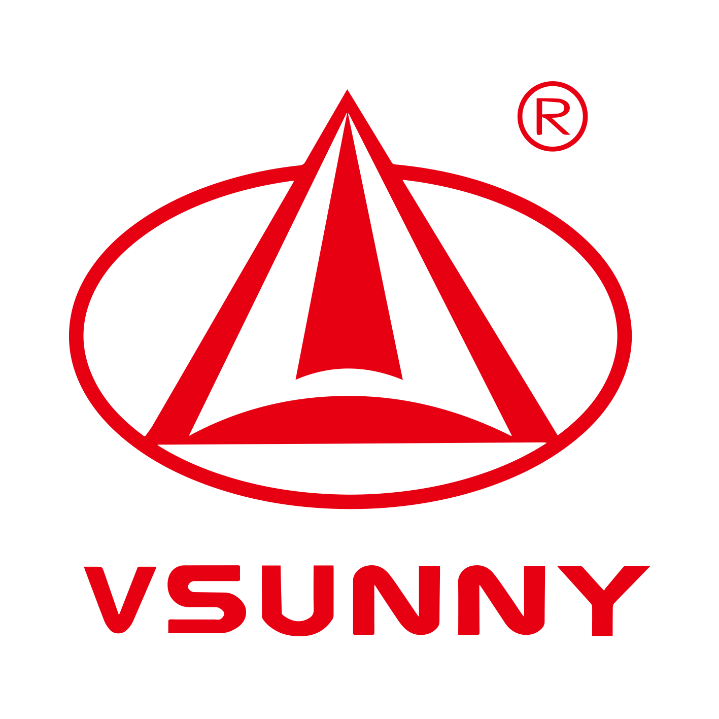 Foshan Vsunny New Materials Group Co., Ltd._logo