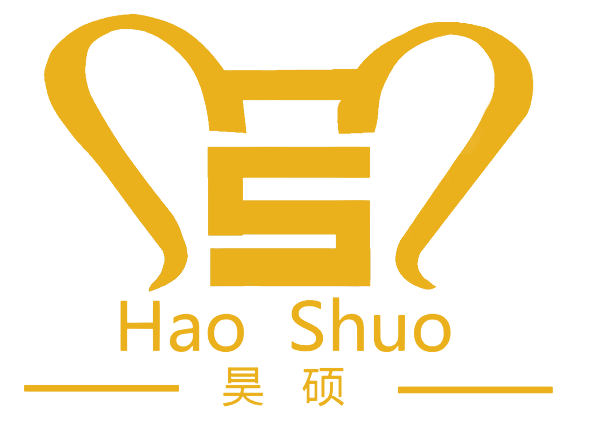 �ӱ��˶�������޹�˾_logo