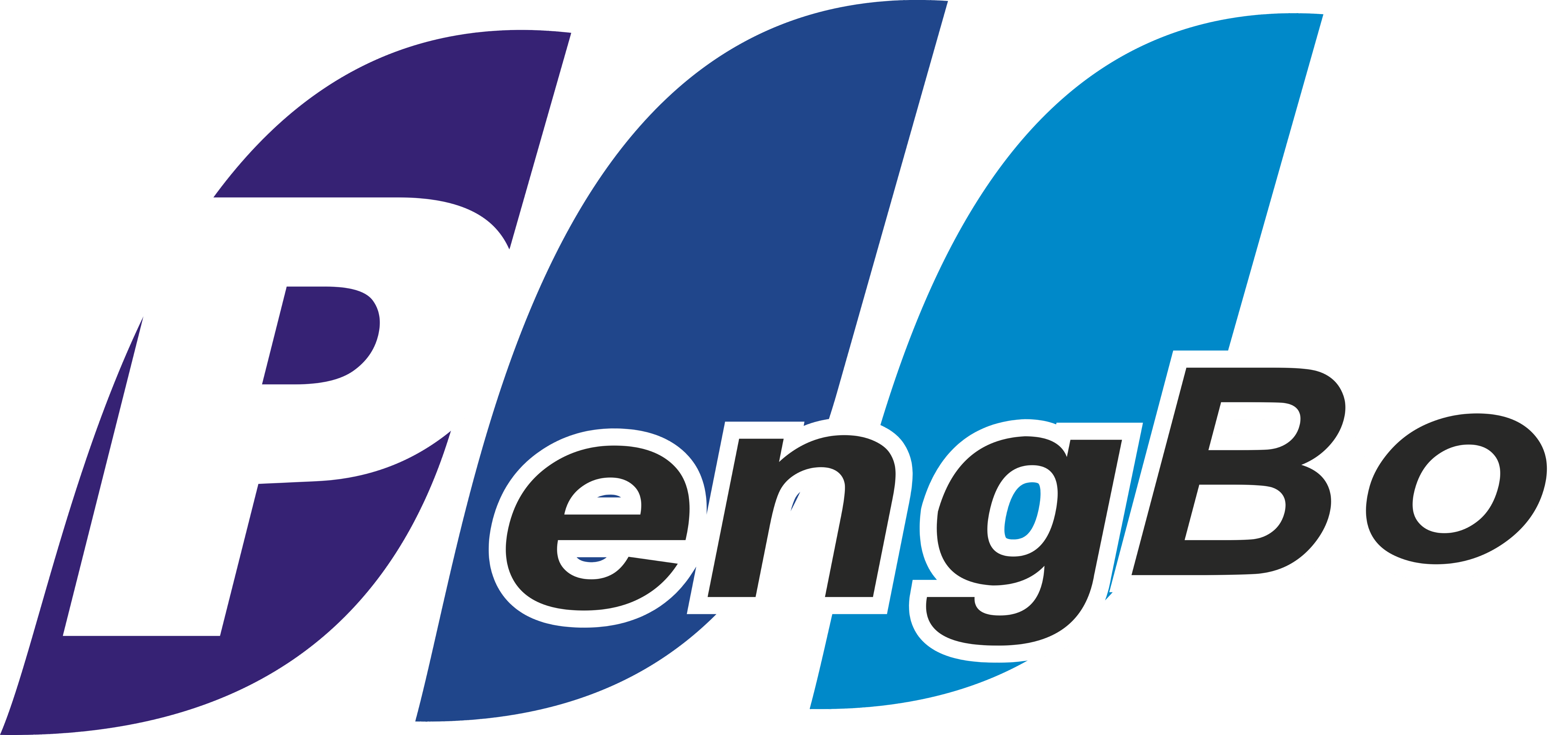 �Ϻ��첩�Ѱ׷����޹�˾_logo